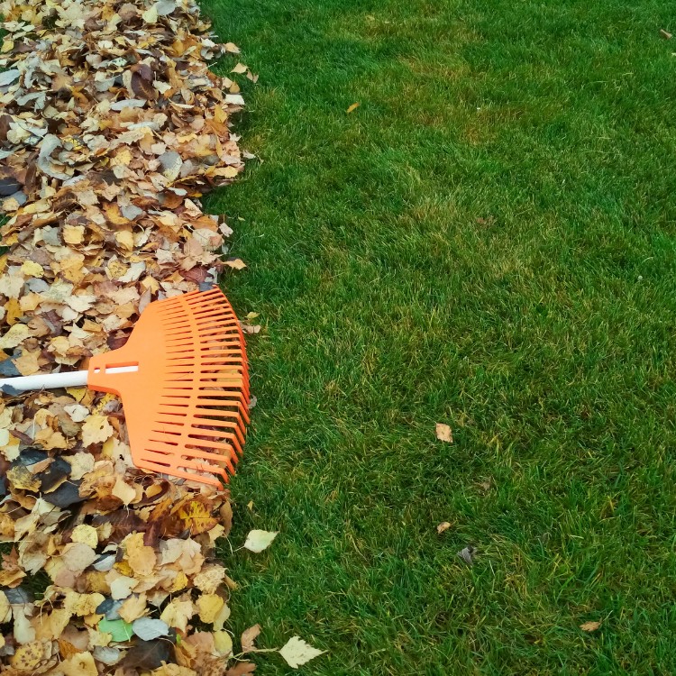 Lawn care services in Lincoln, CA