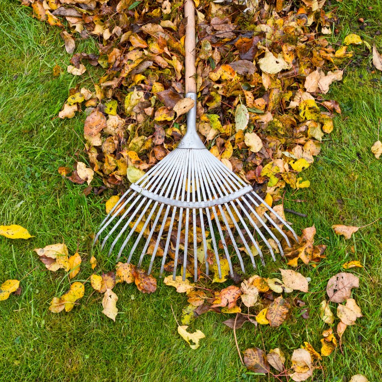 Lawn care services in Lincoln, CA Lawn care services in Lincoln, CA
