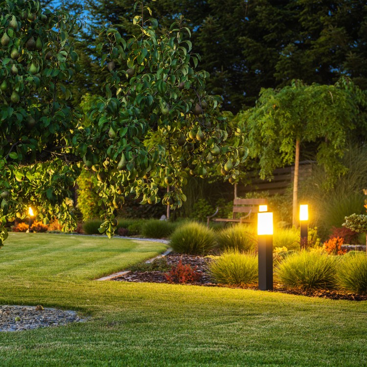 Lawn care services in Lincoln, CA